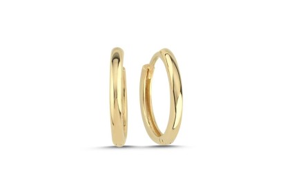 Orta Boy Halka Küpe (2x2 cm 2 mm)