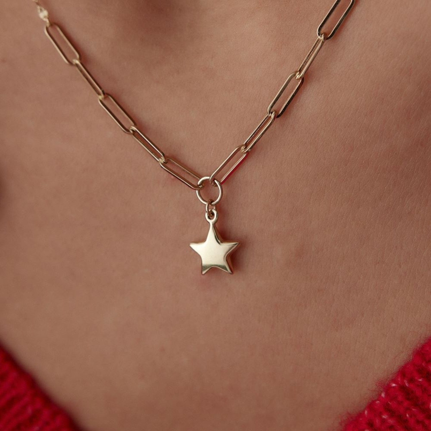 Kalp Ataç Pullu Kolye