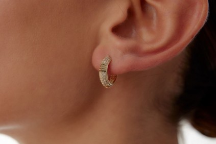 Oval Tasarım Taşlı Halka Küpe