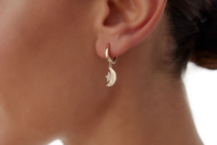 Yıldız Ay Taşlı Tasarım Küpe